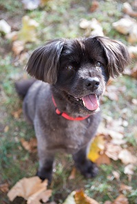 View More: http://photoandflow.pass.us/kelle